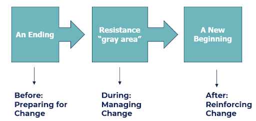 The Three-Phase Transition Process